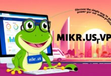 mikr.us_frog_vps