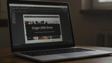 spankbang origin dns error