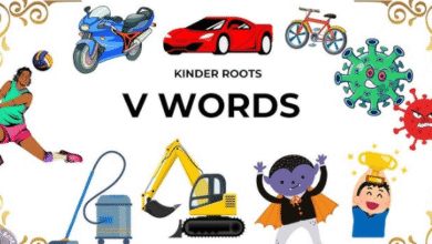 Words with v