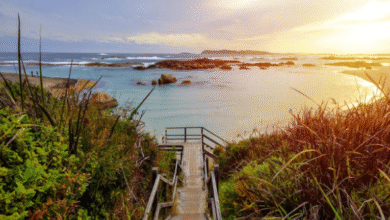 Parry Beach Campsite