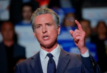 Gavin Newsom net worth